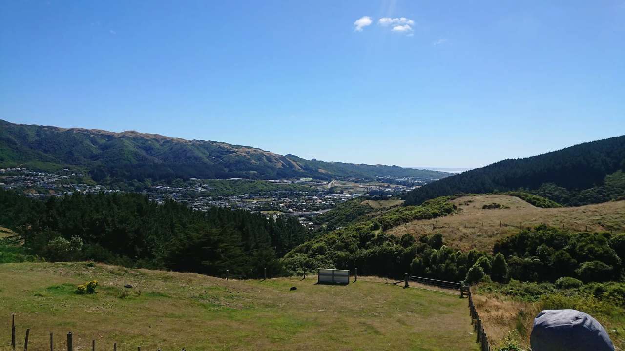 Wilf Mexted Scenic Reserve — photo 1