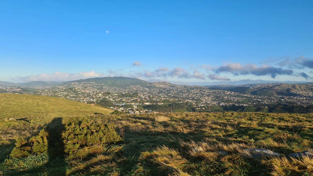 Hauora Reserve — photo 3