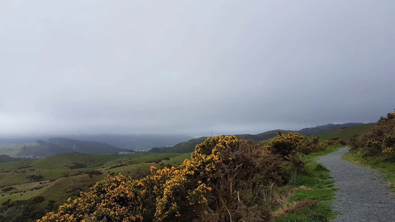 Hauora Reserve — photo 2