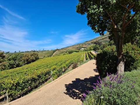 Beau Constantia — photo 3