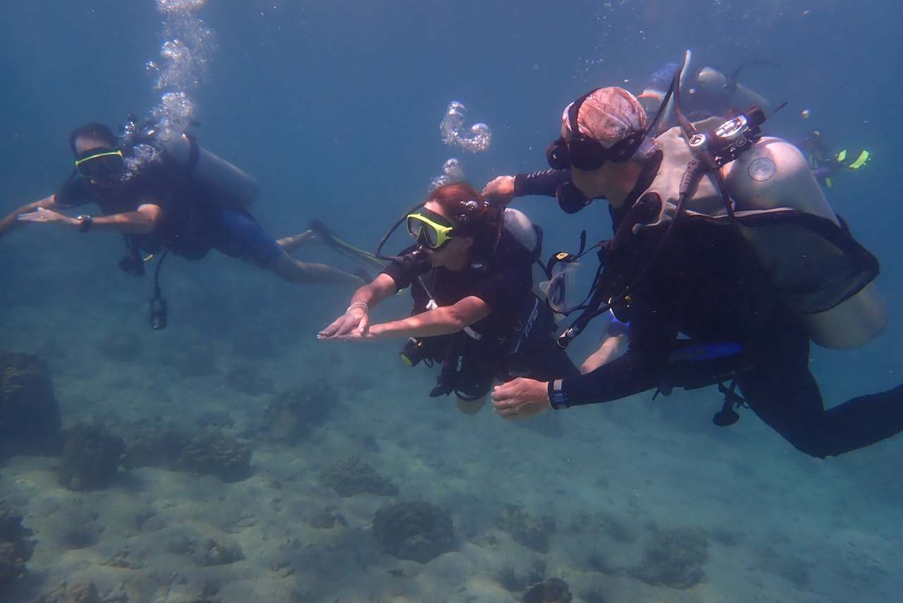 Paradise Divers Koh Kood — photo 2