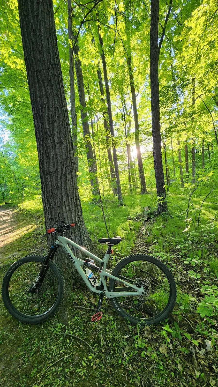 Rocky Knoll Mountain Bike Trailhead