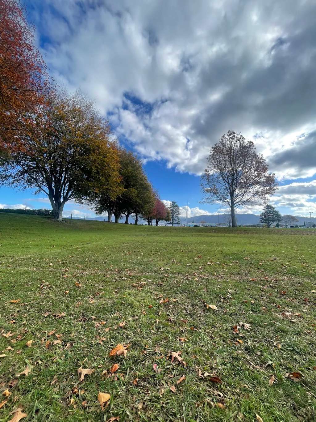 Moore Park