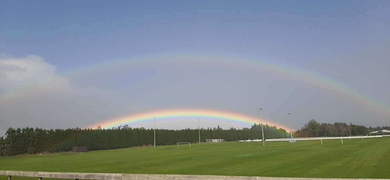 Moore Park — photo 2