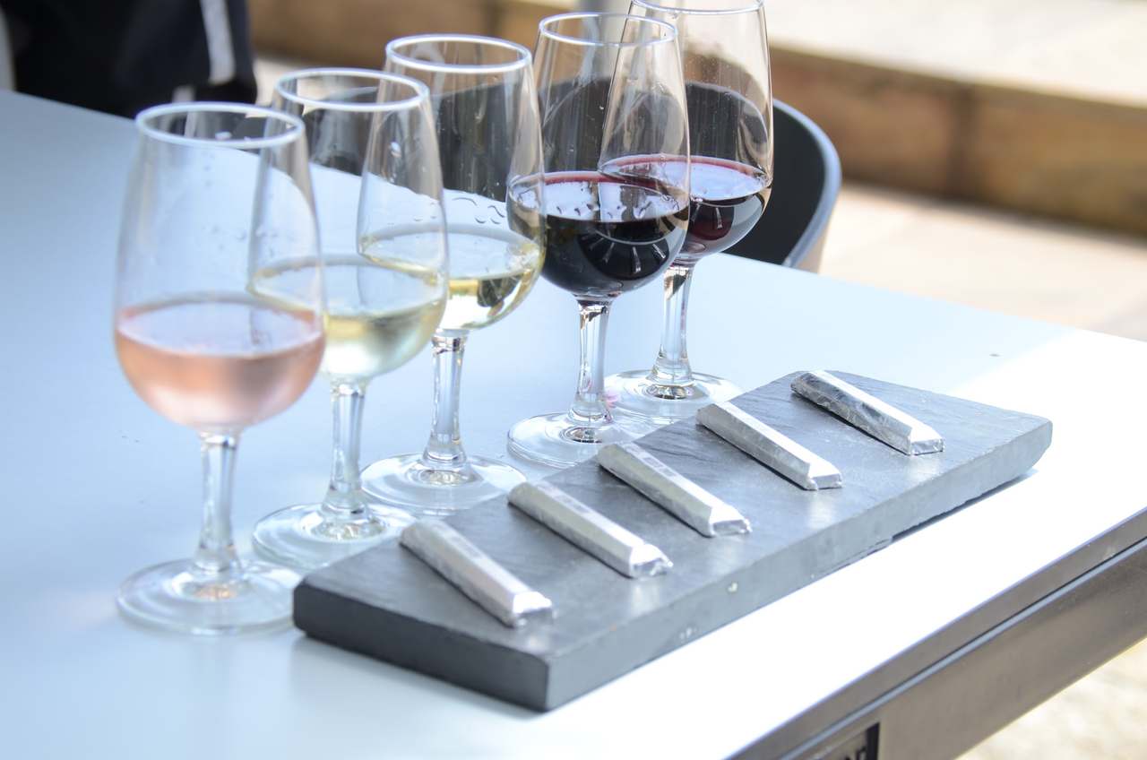Durbanville Hills Winery — photo 3