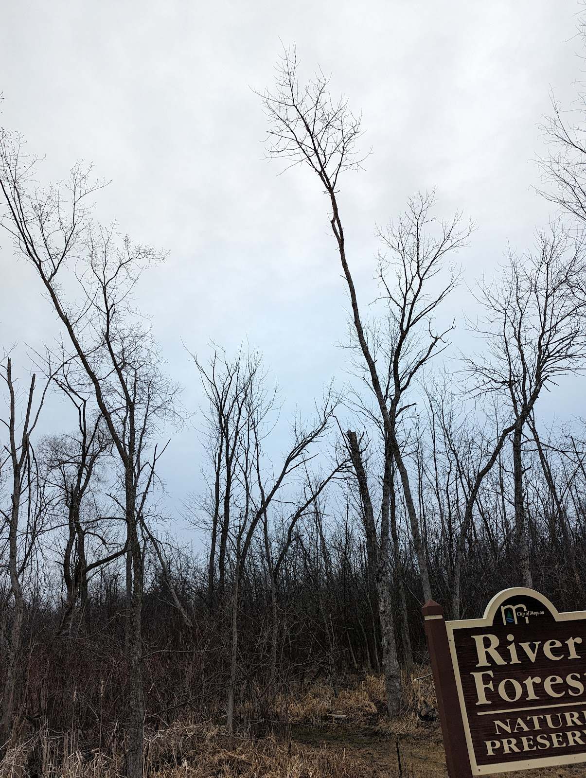 River Forest Nature Preserve — photo 5