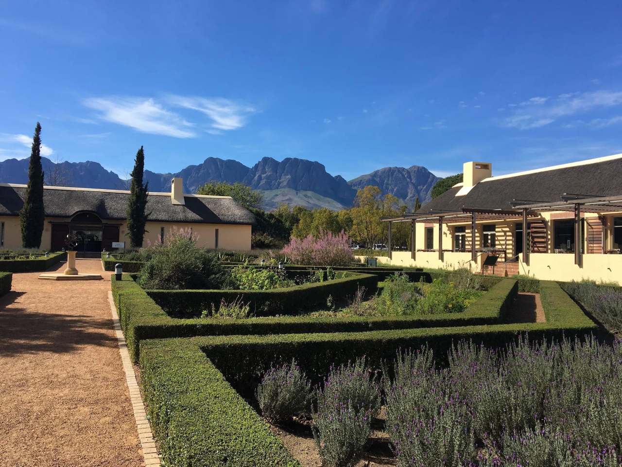 Vergelegen Wine Estate — photo 3