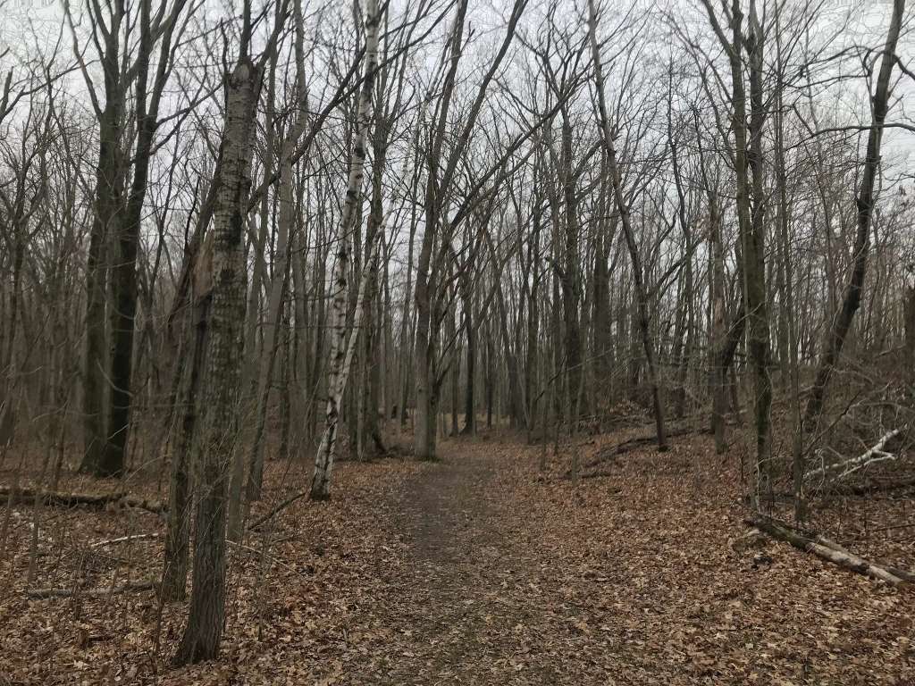 Kettle Moraine State Forest