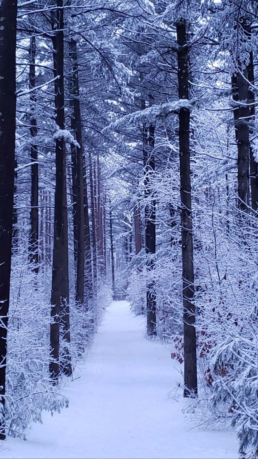 Kettle Moraine State Forest — photo 7