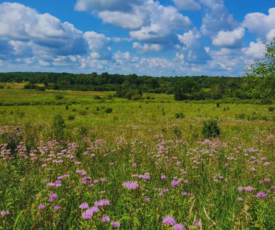 Waukesha County Land Conservancy