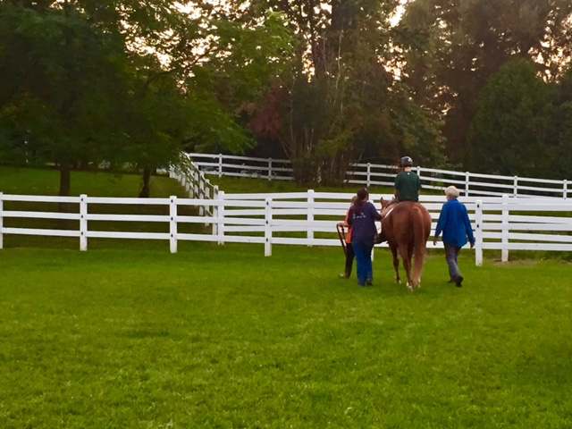 Heaven's Gait Ranch, Therapeutic Riding Center — photo 2