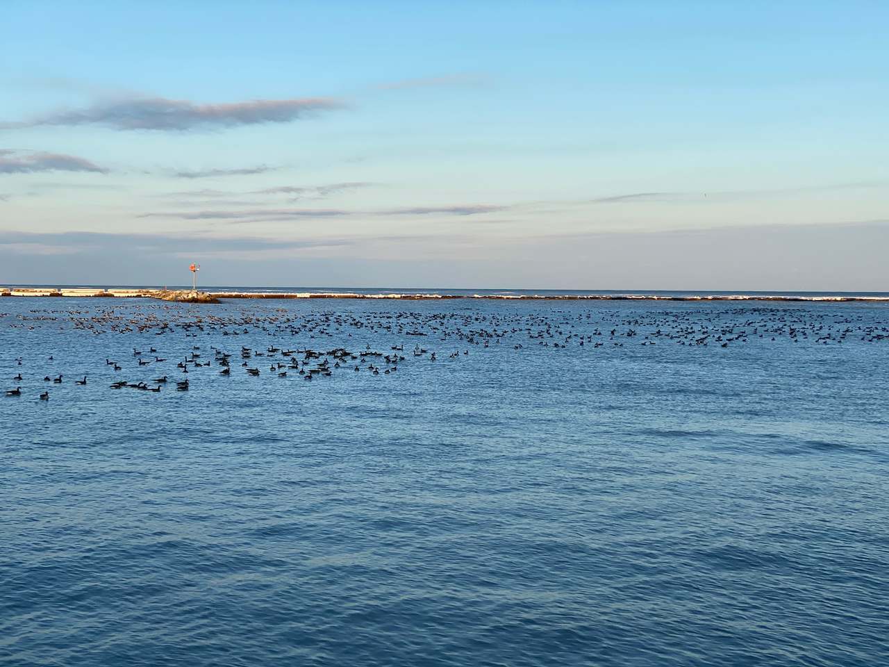Port Washington Avian Sanctuary — photo 4