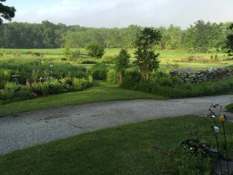 Constitution Oak Farm — photo 3