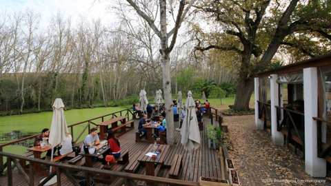 D'Aria Winery — photo 2