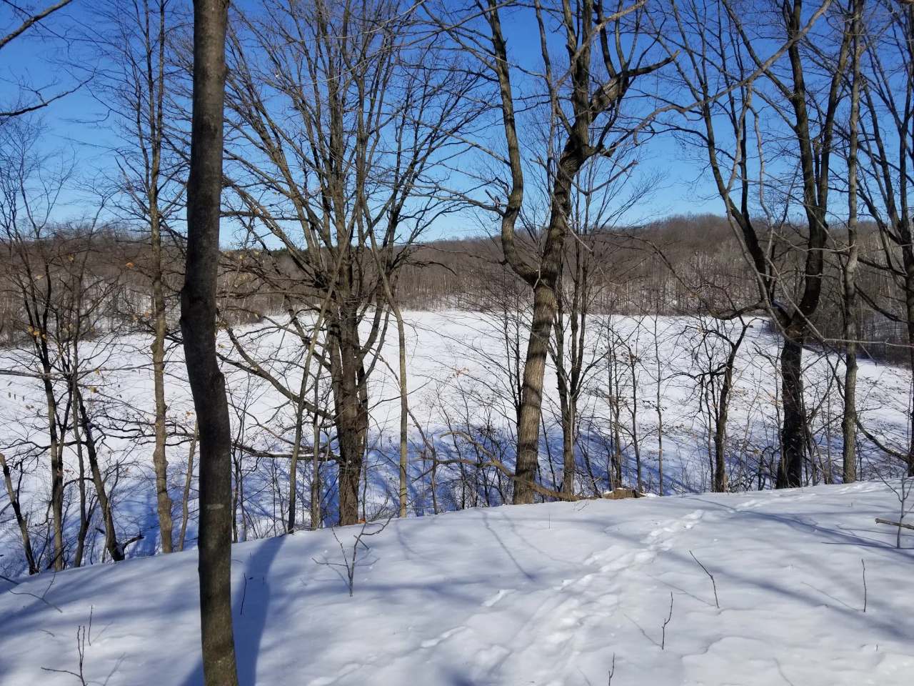 New Fane Trail Area — photo 1