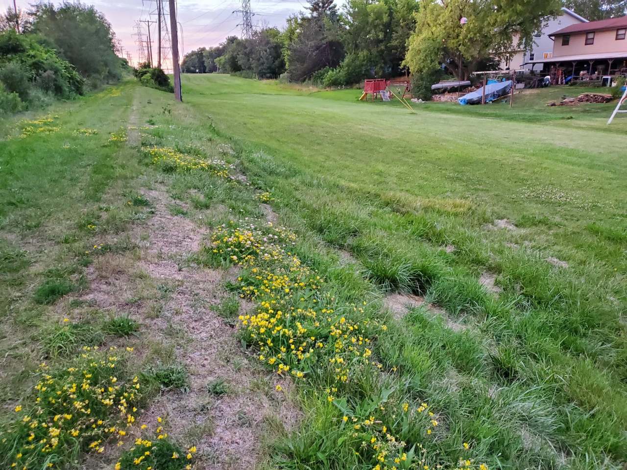 The Powerline Trail (trailhead 1 eastbound) — photo 2