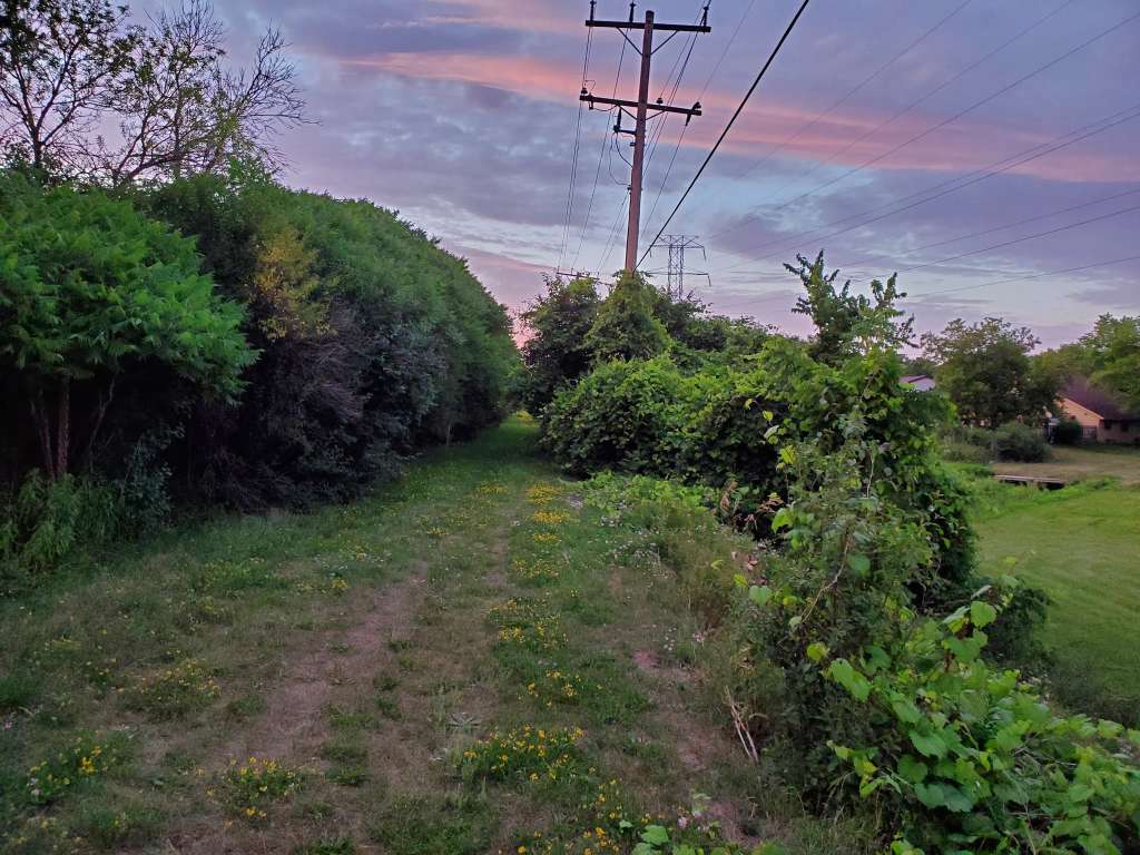 The Powerline Trail (trailhead 1 eastbound)