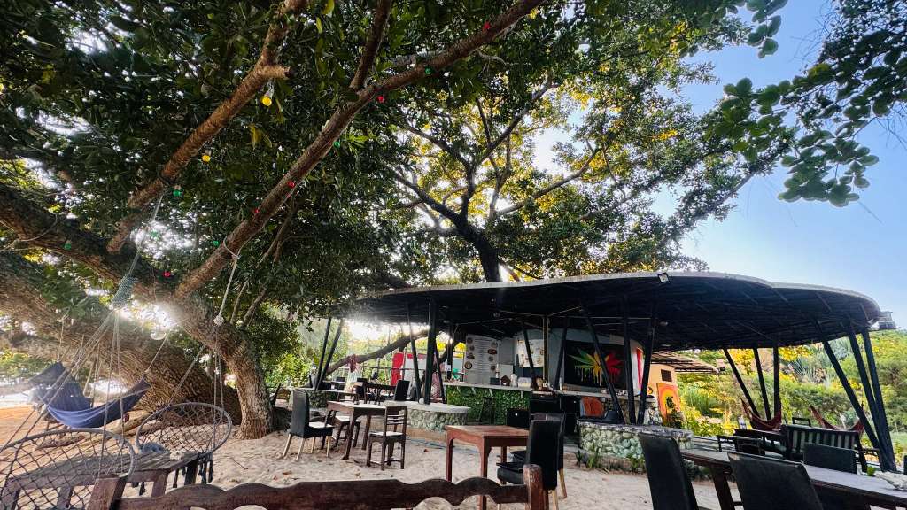 Monkey Shock Restaurant & Bar