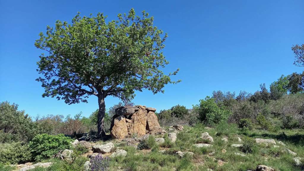 Dolmen de la Rouyre à Ansignan