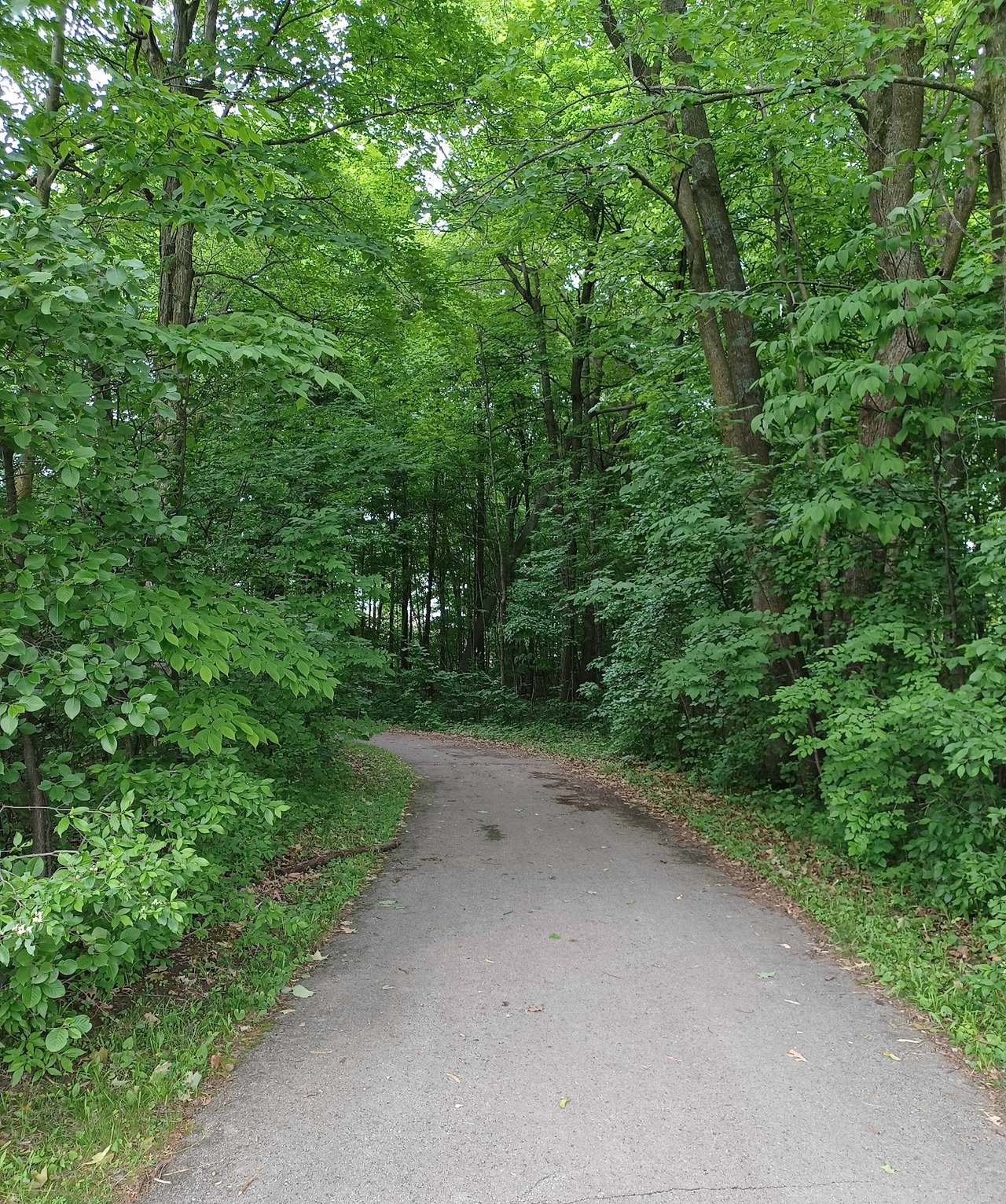 Gregg Preserve — photo 3