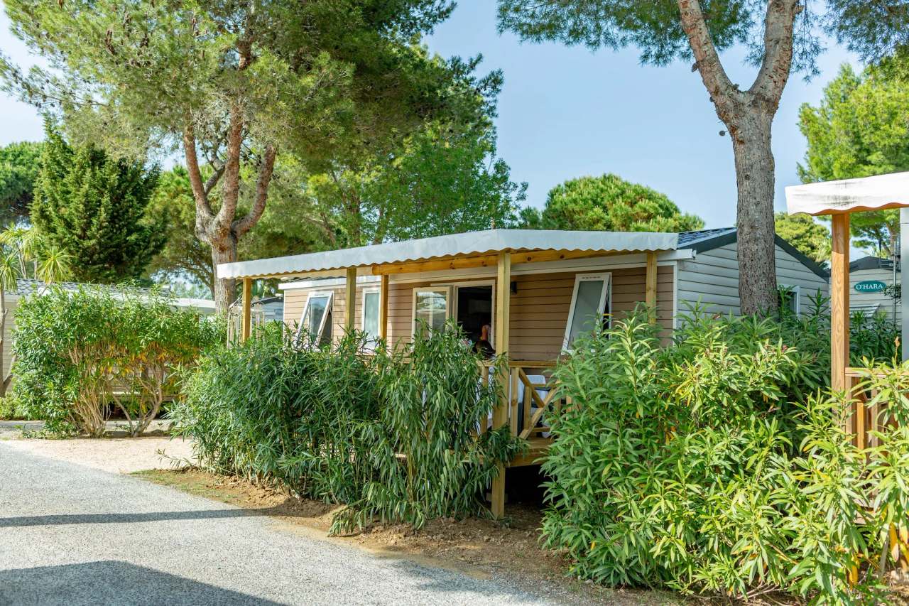 Camping Del Mar — photo 1