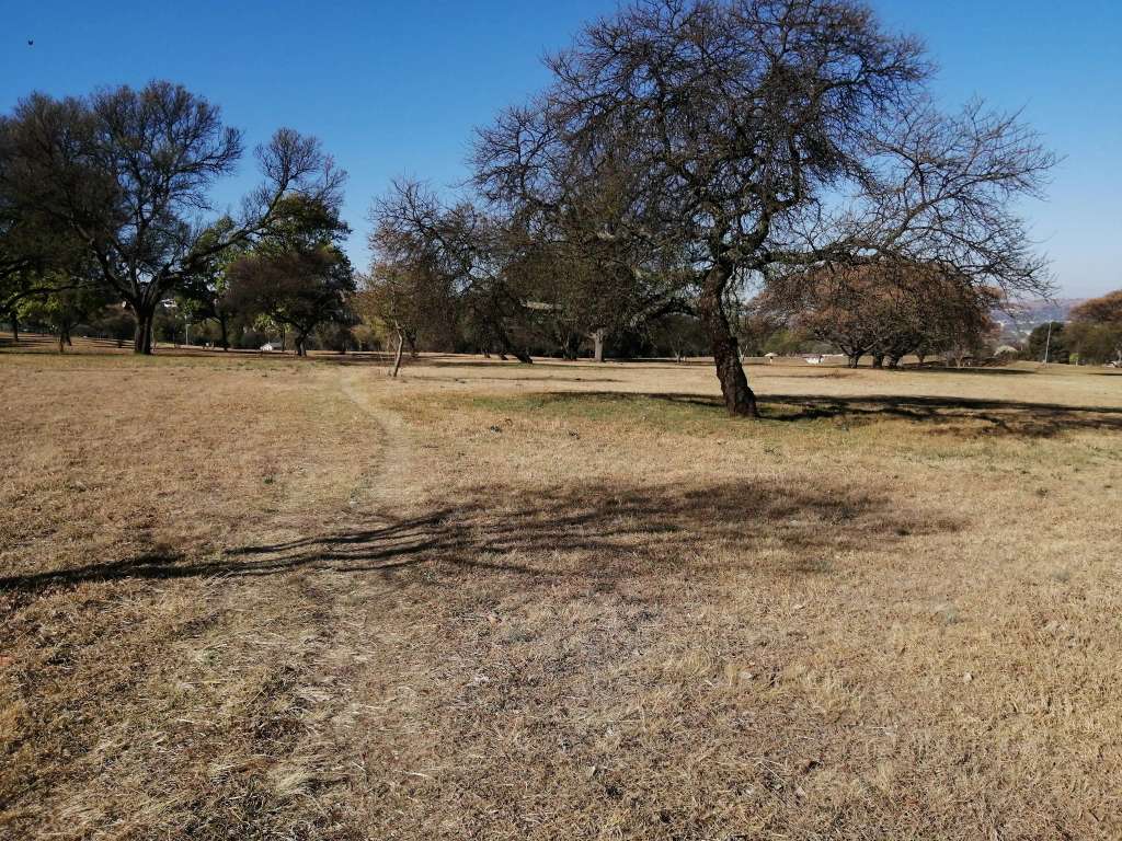 Bezuidenhout Park (2nd Ave)
