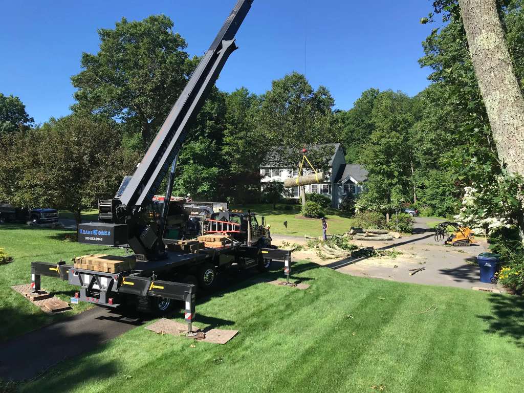 E.L.M. Tree Service Inc.