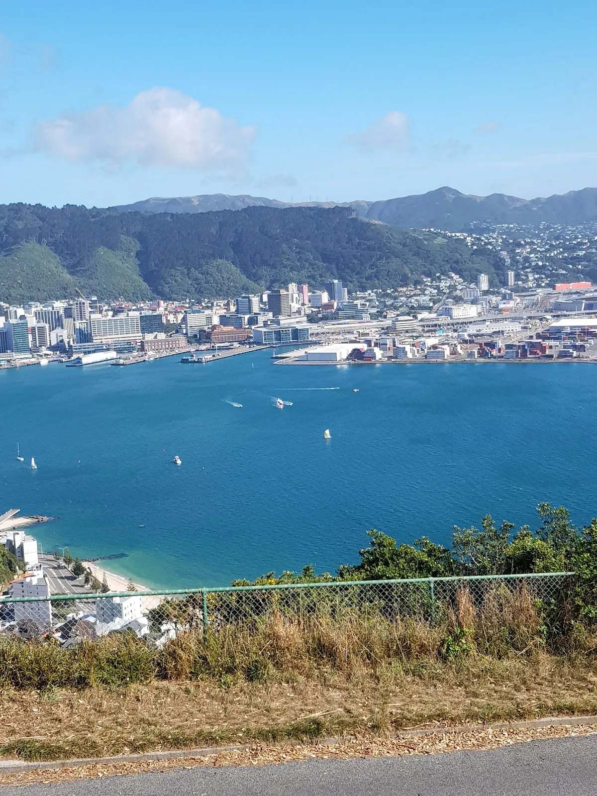 Wellington Panorama B&B — photo 2