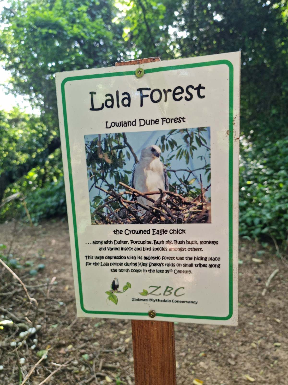 Zinkwazi Forest Trails — photo 5