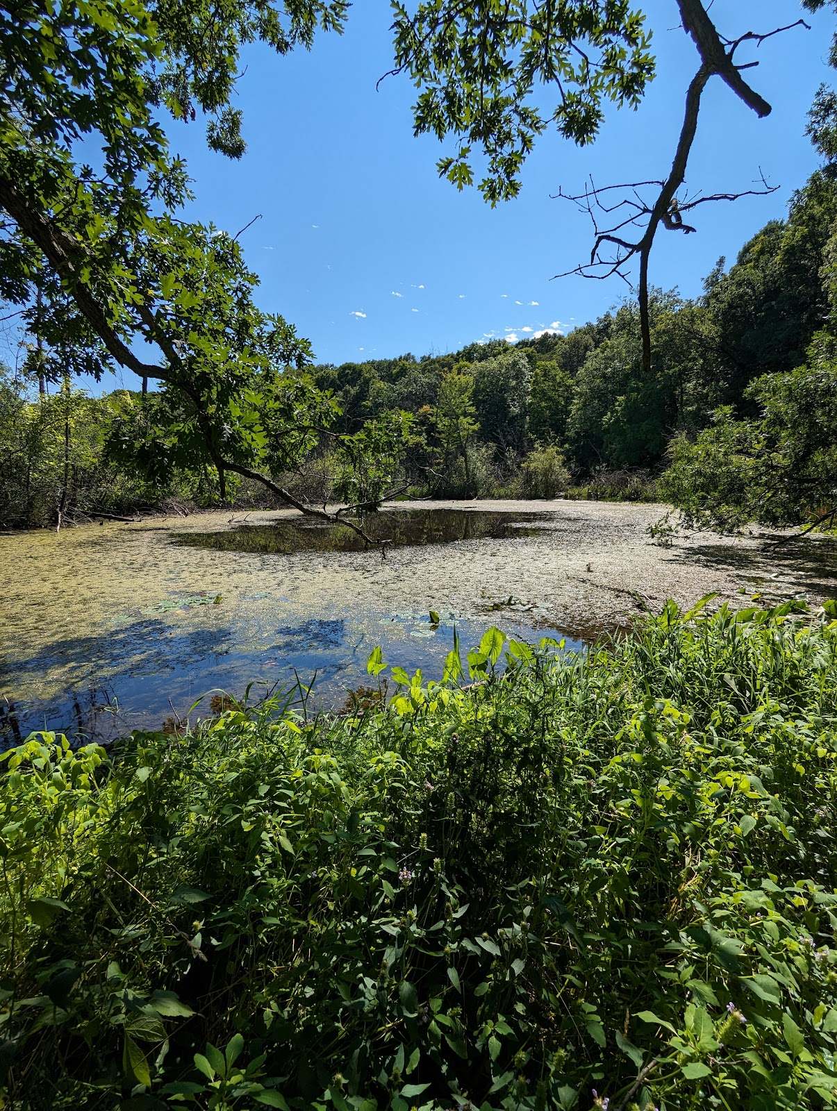 Ridge Run Park West — photo 1