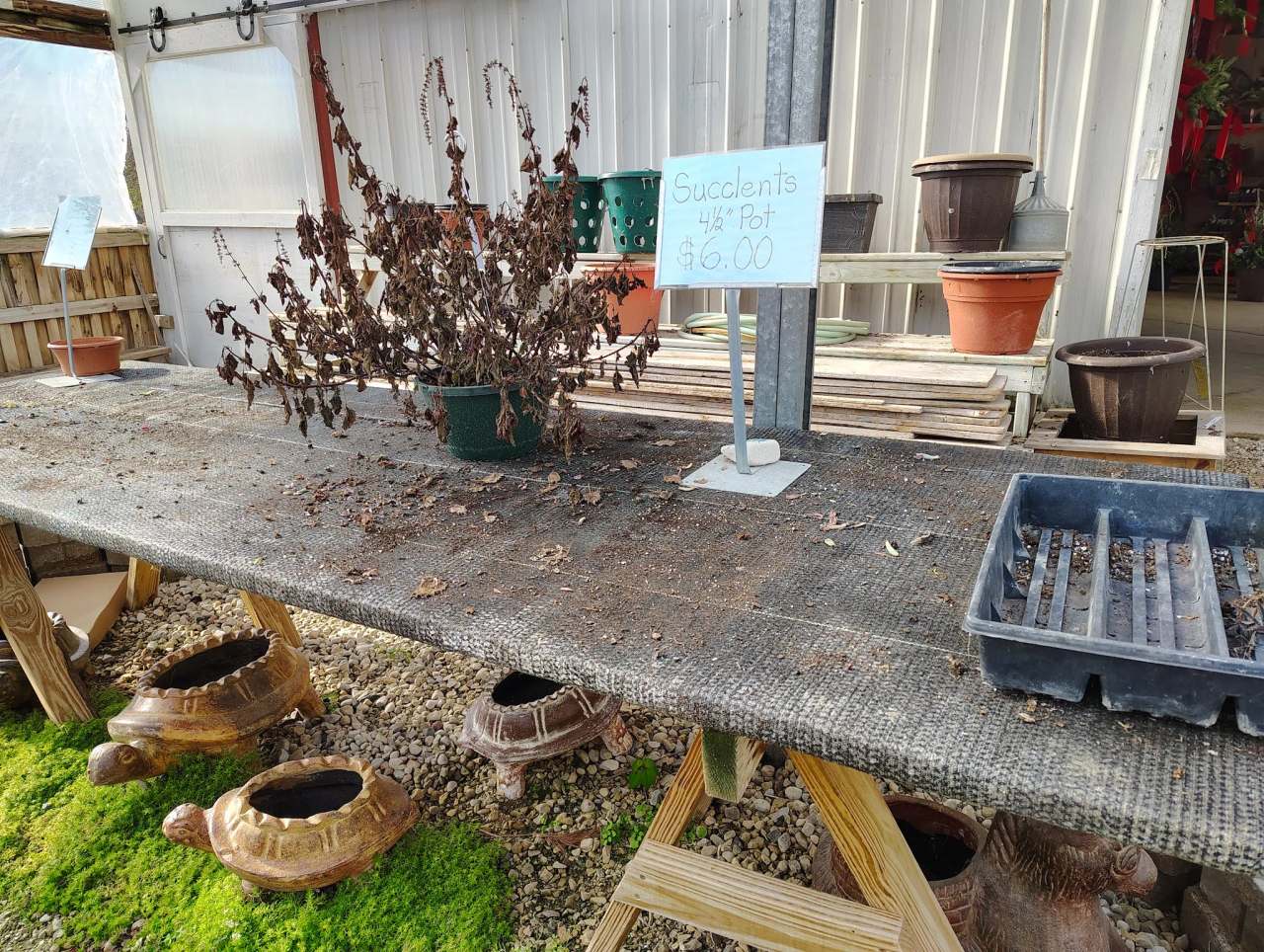 Bemis Upland Springs Floral — photo 1