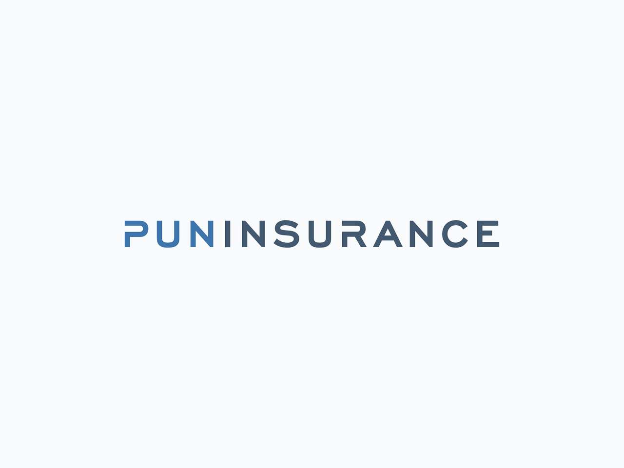 Pun Insurance — photo 1