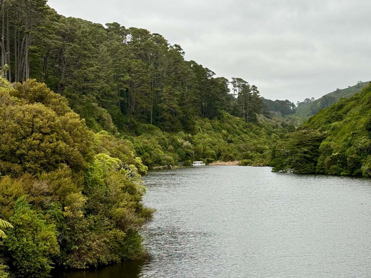 Zealandia Te Māra a Tāne — photo 3