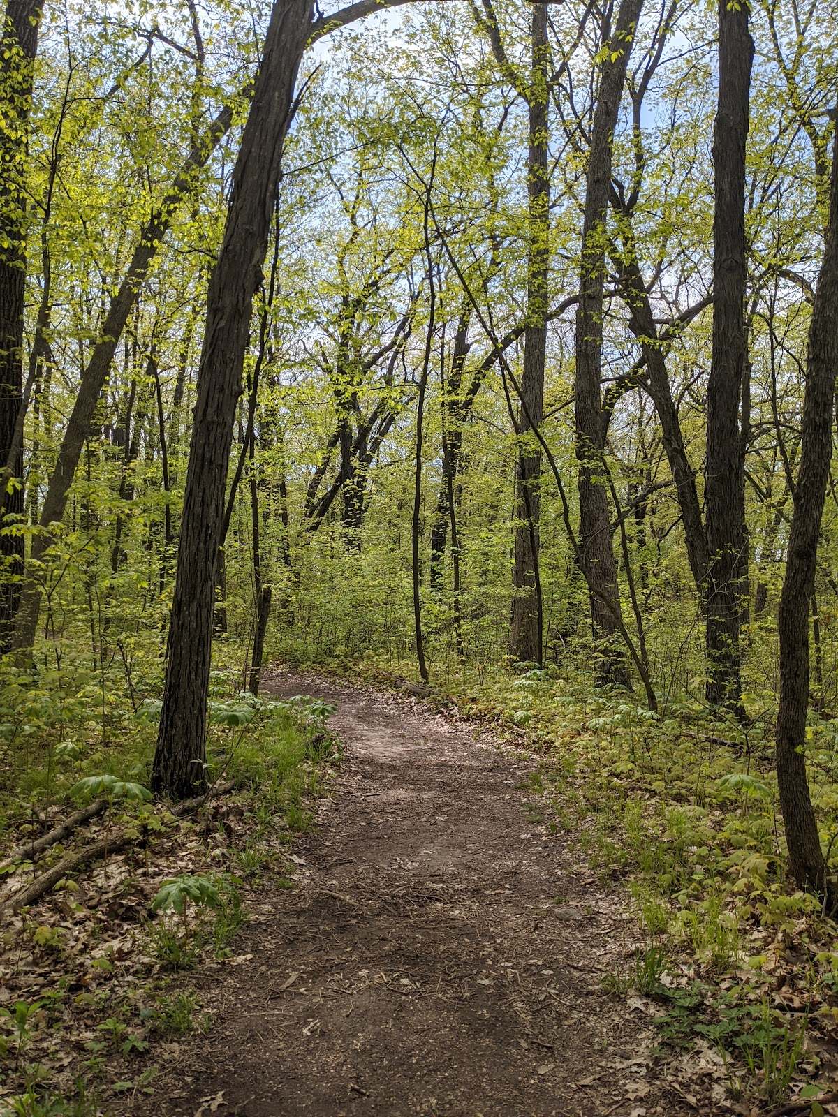 Ice Age Trail - Milwaukee River Segment — photo 1