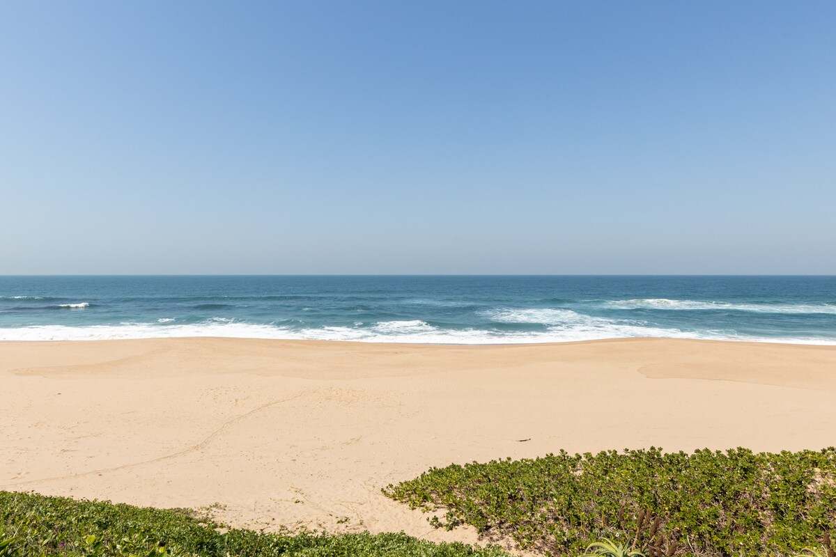 Dolphin Views — photo 4